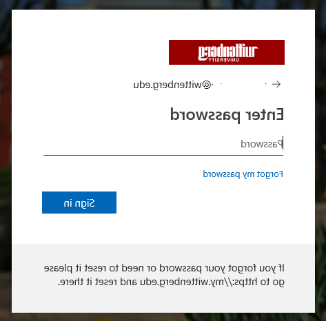 Microsoft Portal Password